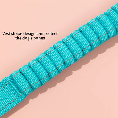 Vibrant PRO Series Multi-Functional Anti-Pull Bungee Dog Leash