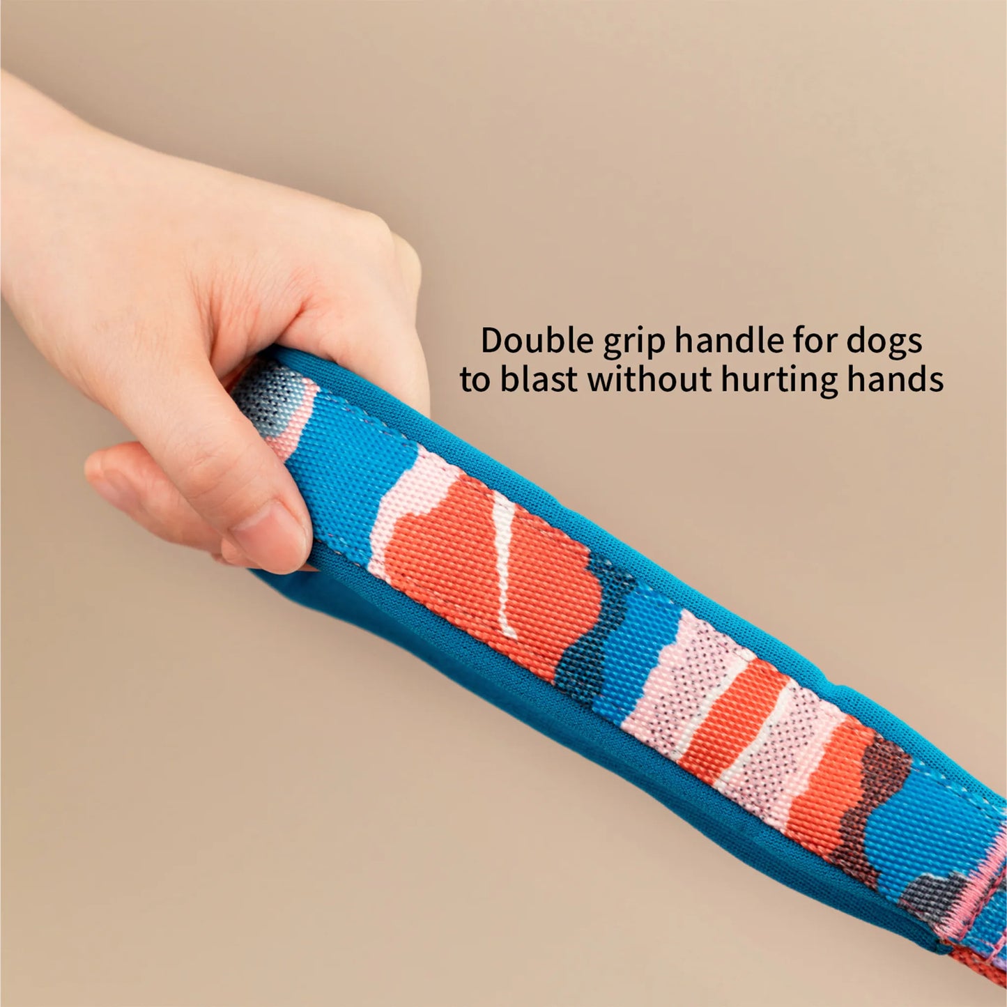 Vibrant PRO Series Multi-Functional Anti-Pull Bungee Dog Leash