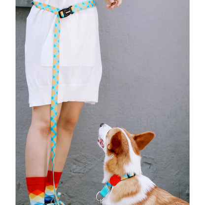 Vibrant PRO Series Multi-Functional Anti-Pull Bungee Dog Leash