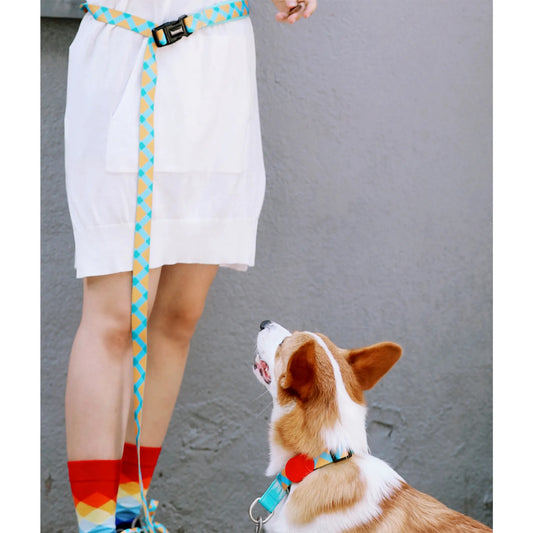 Vibrant PRO Series Multi-Functional Anti-Pull Bungee Dog Leash