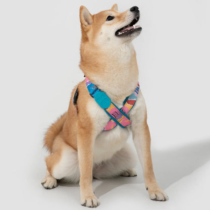 Vibrant PRO Series X-Shape Dog Harness