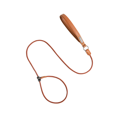 Leather Handle All-in-One P-Leash