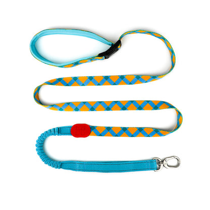 Vibrant PRO Series Multi-Functional Anti-Pull Bungee Dog Leash