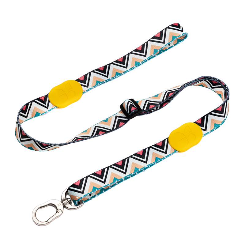 Vibrant Collection Durable Adjustable Dog Leash
