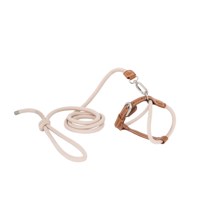 Cat Harness & Leash