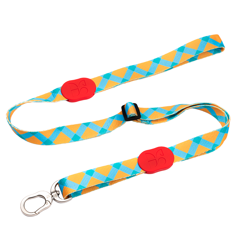 Vibrant Collection Durable Adjustable Dog Leash