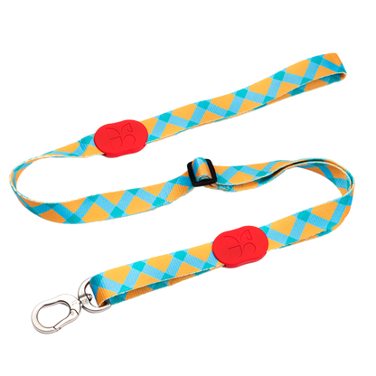 Vibrant Collection Durable Adjustable Dog Leash