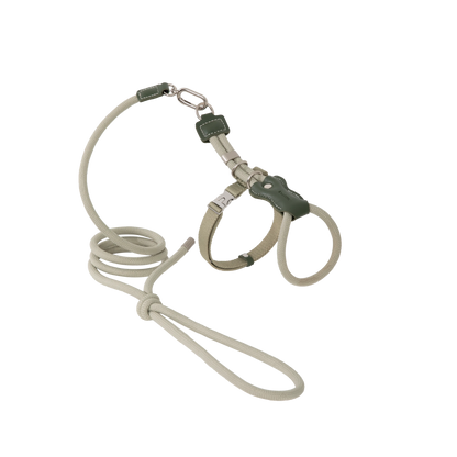 Leather Rope Cat Harness & Leash