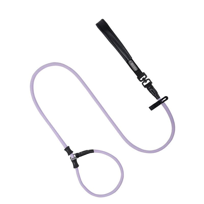 All-in-One Training Dog Leash