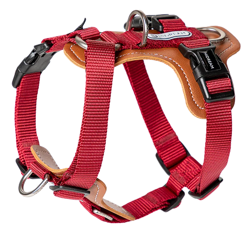 H-Shape Harness
