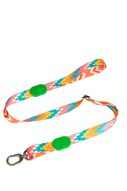 Vibrant Collection Durable Adjustable Dog Leash
