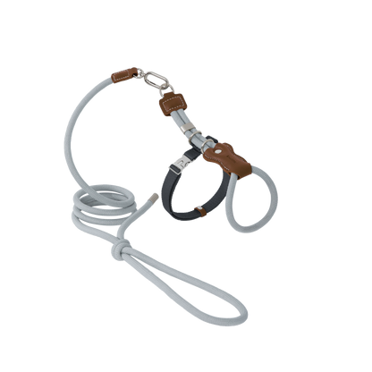 Leather Rope Cat Harness & Leash