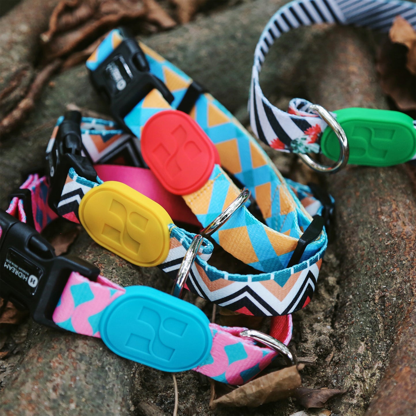 Vibrant Collection Durable Adjustable Dog Collar