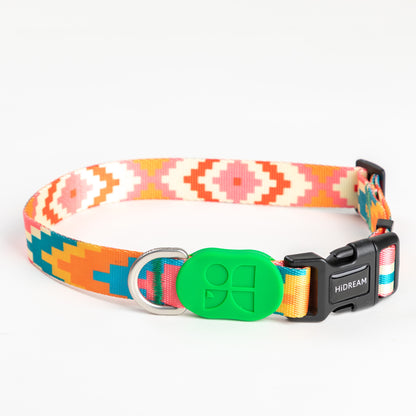 Vibrant Collection Durable Adjustable Dog Collar