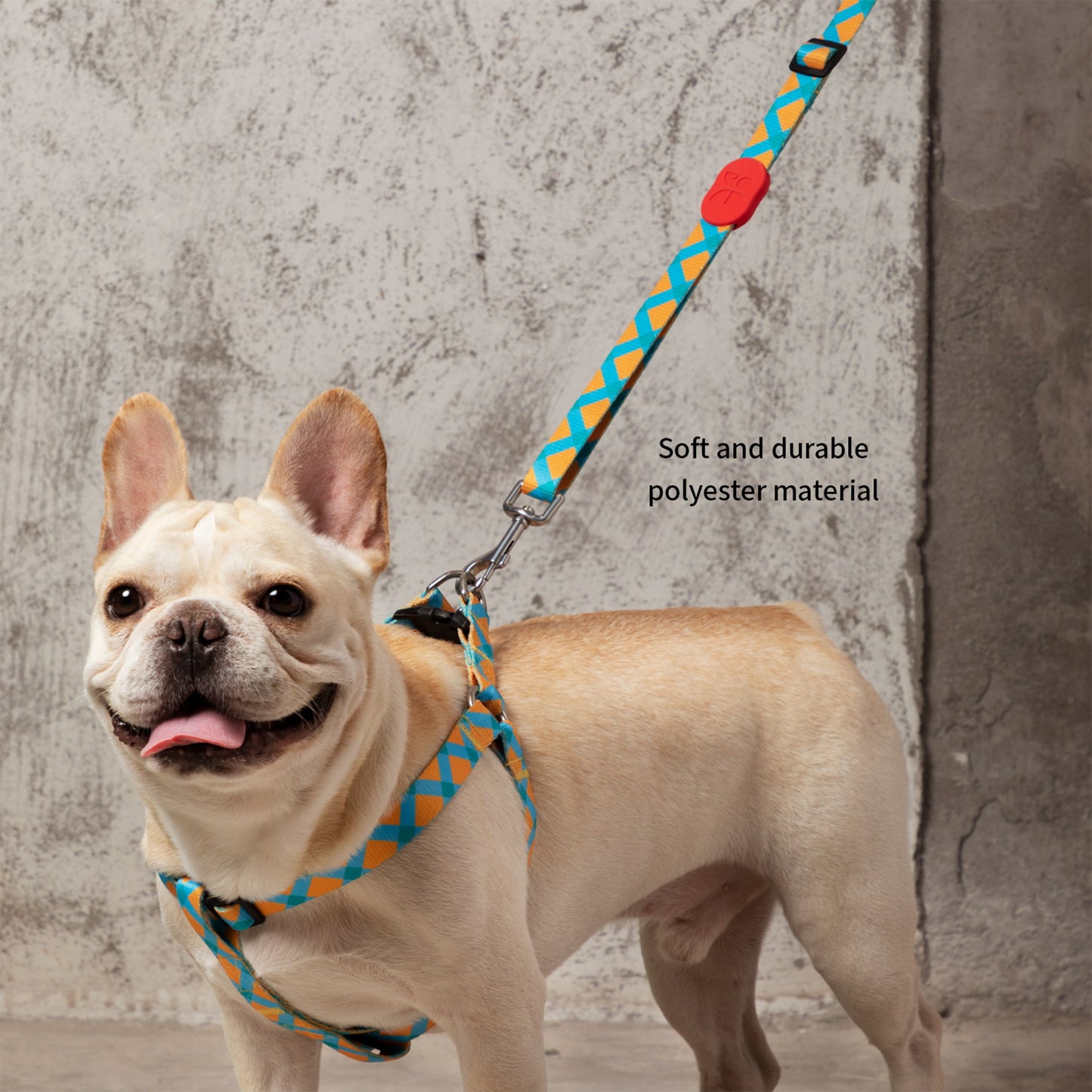 Vibrant Collection Durable Adjustable Dog Leash