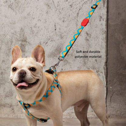 Vibrant Collection Durable Adjustable Dog Leash