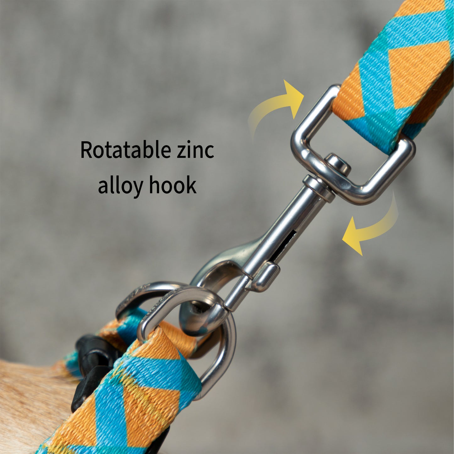 Vibrant Collection Durable Adjustable Dog Leash