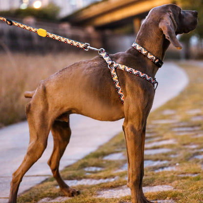 Vibrant Collection Durable Adjustable Dog Leash