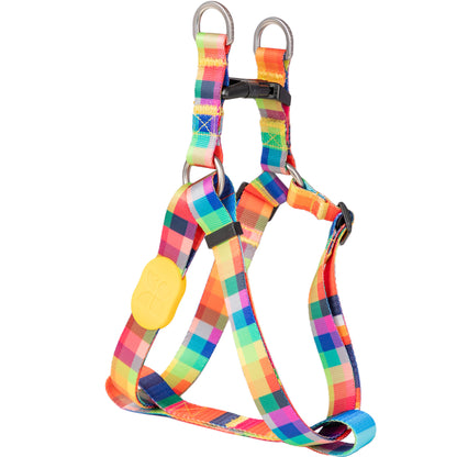 Vibrant Collection Y-Shape Dog Harness